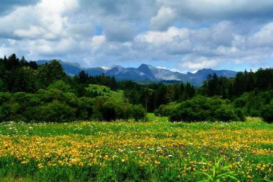 高山花园